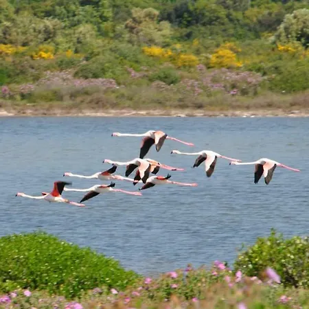 Ampio Open Space Nel Salento